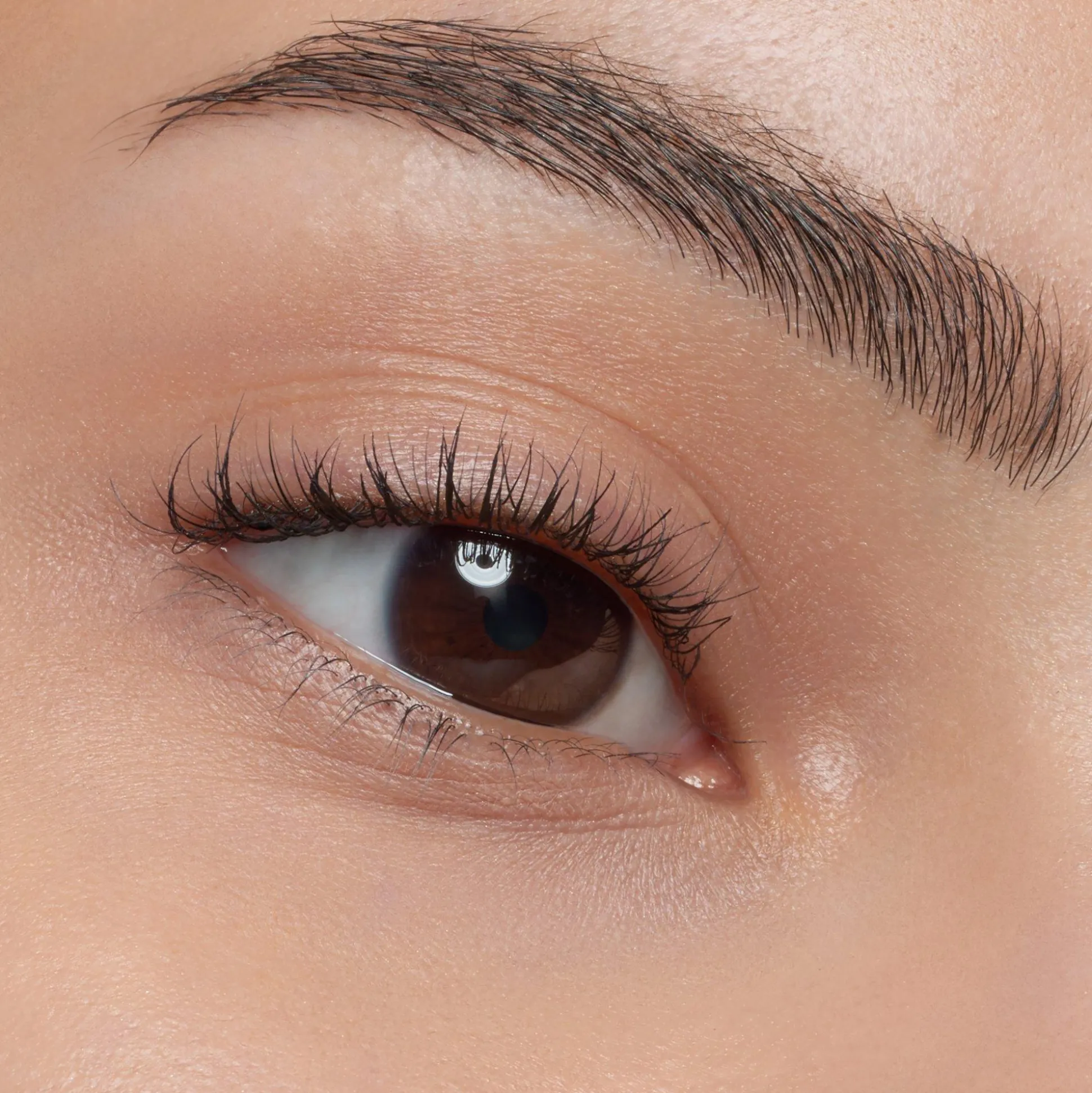 essence Augenbrauen>easy & WOW brow set light