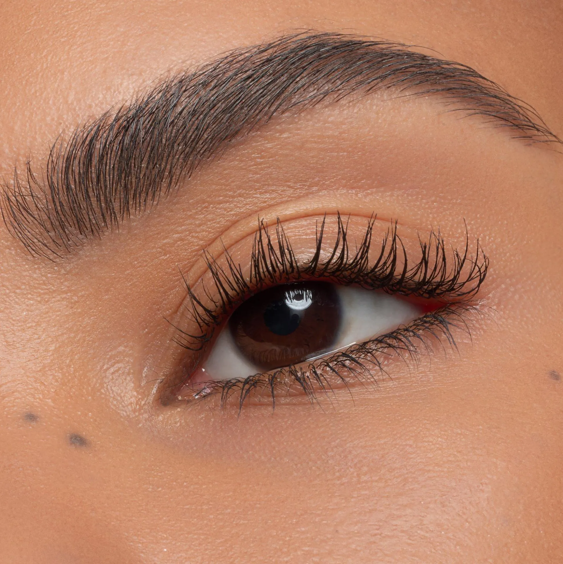 essence Augenbrauen>easy & WOW brow set medium