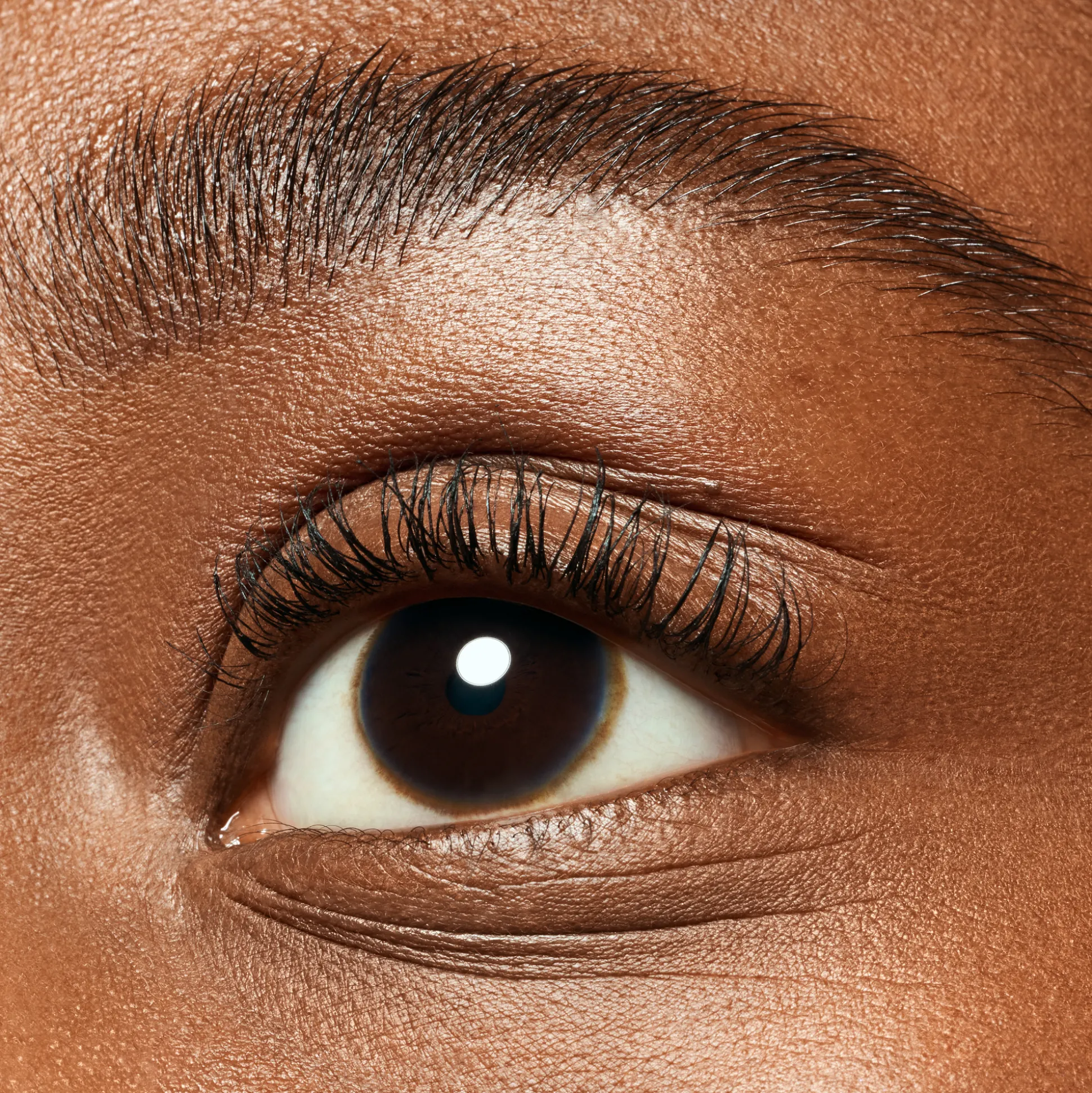 essence Augenbrauen|Mascara>lash & brow gel mascara